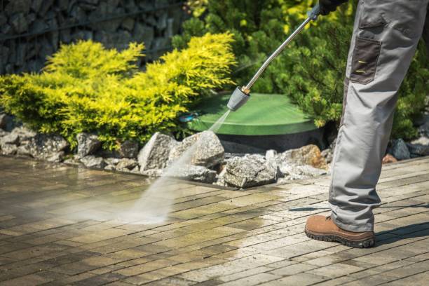 Best Sidewalk and Walkway Cleaning  in Olean, NY